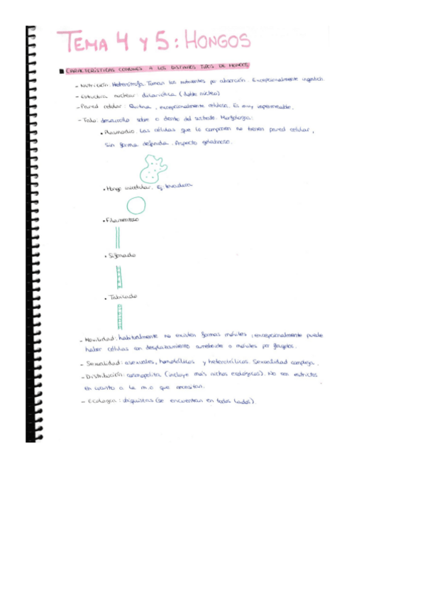 Miniatura del documento Tema-4-y-5.pdf
