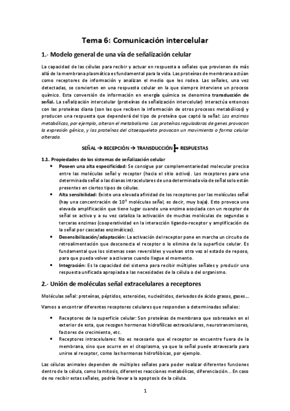 Miniatura del documento BIOQUIMICA-TEMA-6.pdf