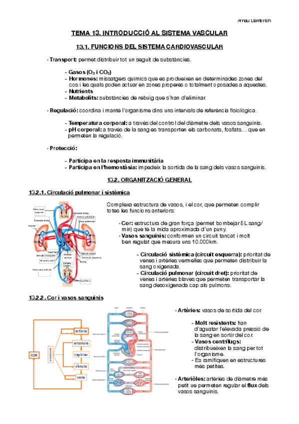 Miniatura del documento Apunts-Fisiologia-i-Fisiopatologia-II-Tema-13.pdf