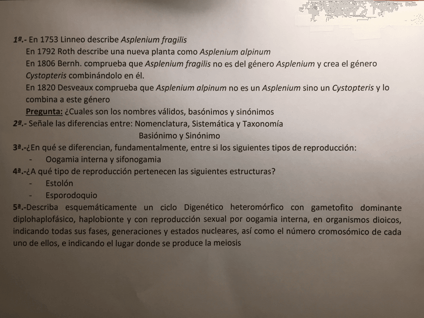 Miniatura del documento 34AAE196-9445-4442-9A27-CD6A44CD847E.jpg