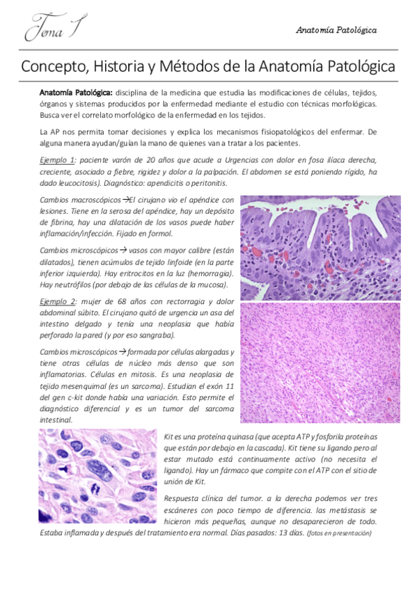Miniatura del documento 1. AP.pdf