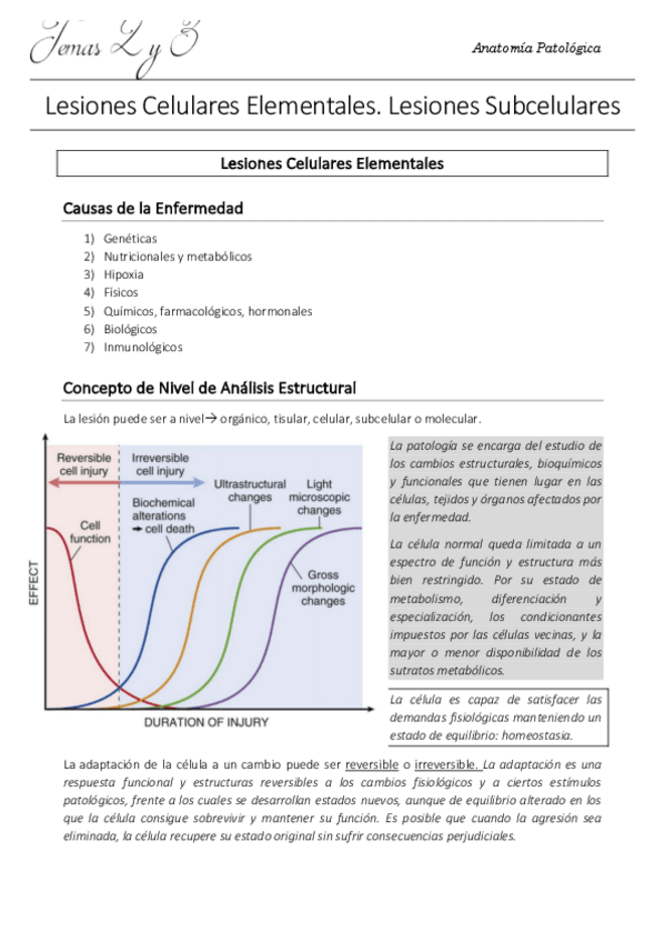 Miniatura del documento 2.3 AP.pdf