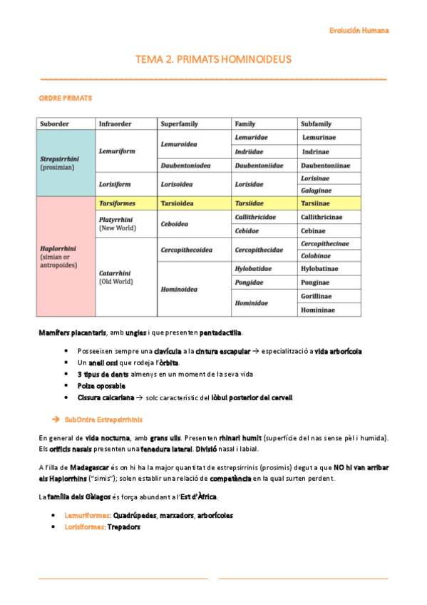 Miniatura del documento T2-Primats-hominoideus.pdf