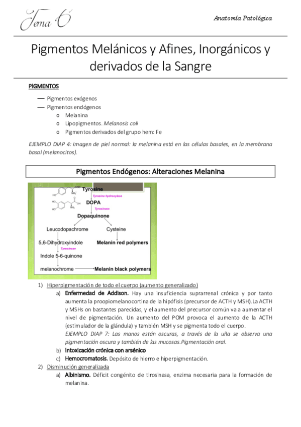 Miniatura del documento 6. AP.pdf
