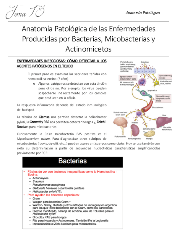 Miniatura del documento 13. AP.pdf