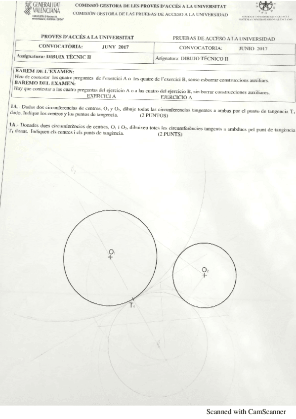 Miniatura del documento PAU-2017-corregidos-Jun-y-jul.pdf