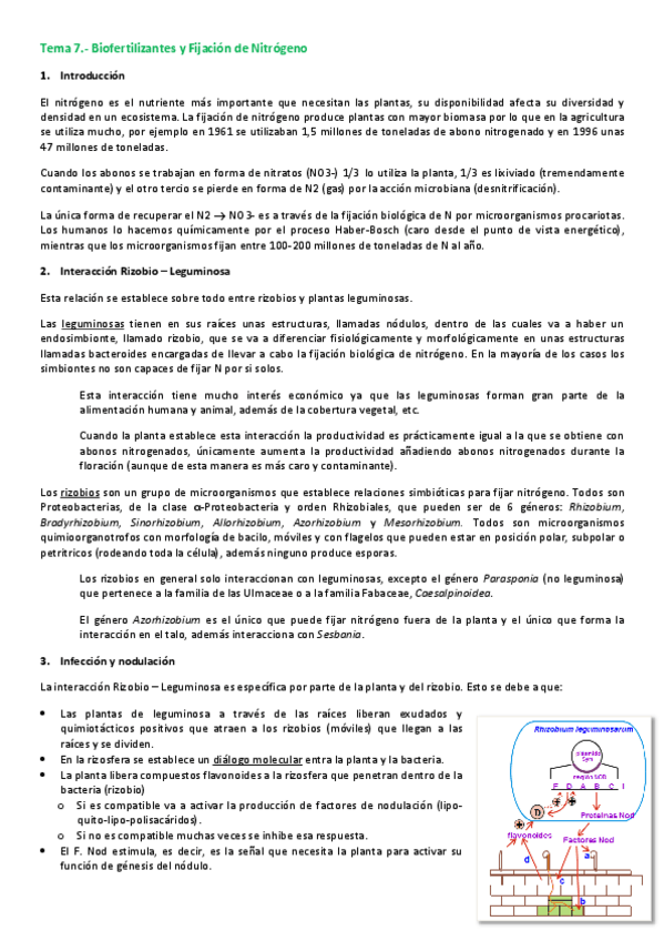 Miniatura del documento Tema-7.pdf
