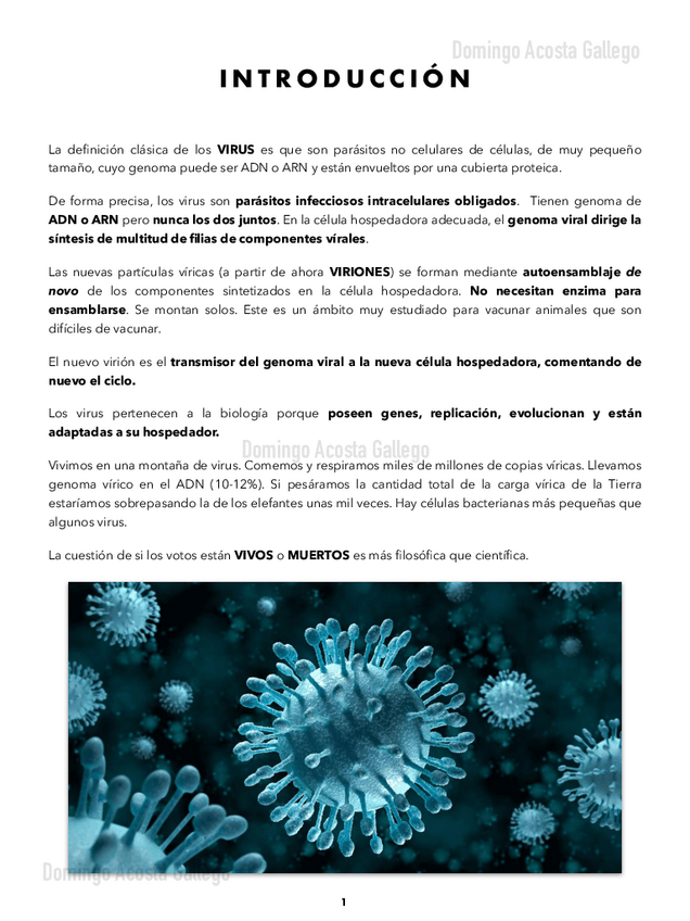 Miniatura del documento 1.Introducción.pdf