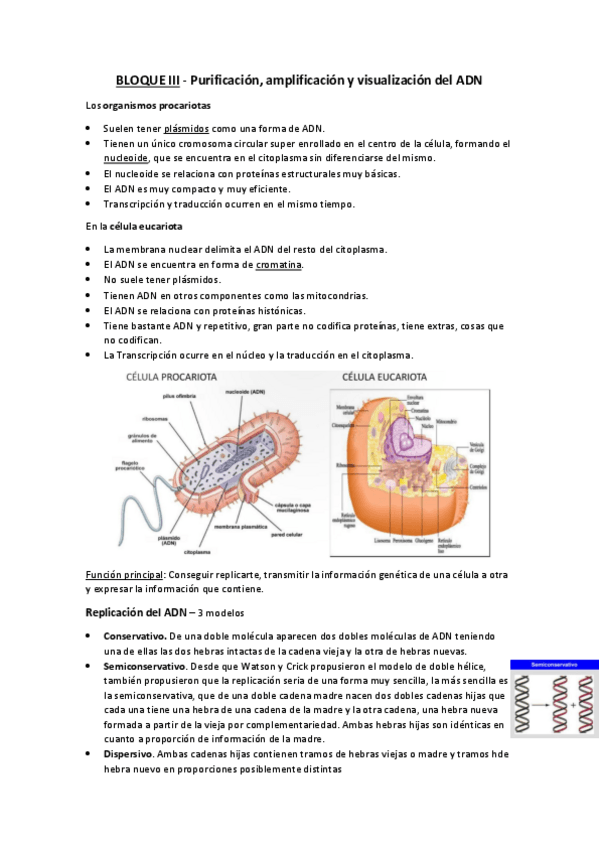 Miniatura del documento BLOQUE-III.pdf
