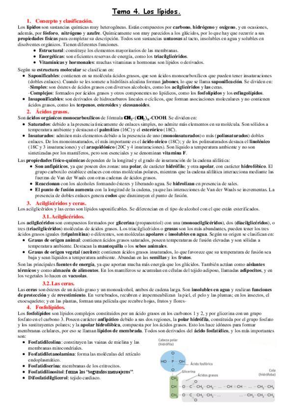 Miniatura del documento Tema-4.pdf