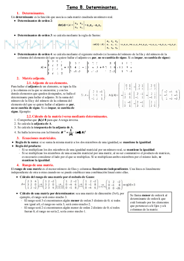 Miniatura del documento Tema-8.pdf