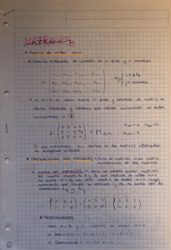Miniatura del documento MATRICES.pdf