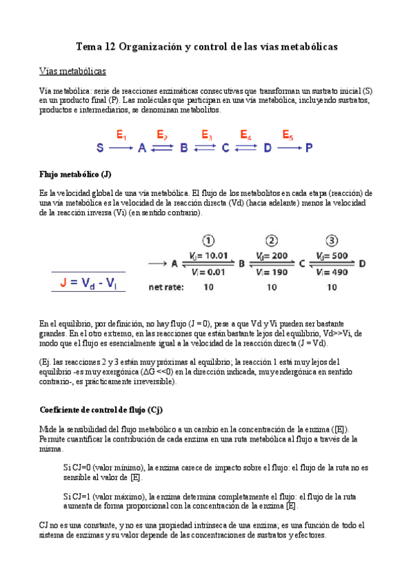 Miniatura del documento Tema-12.pdf