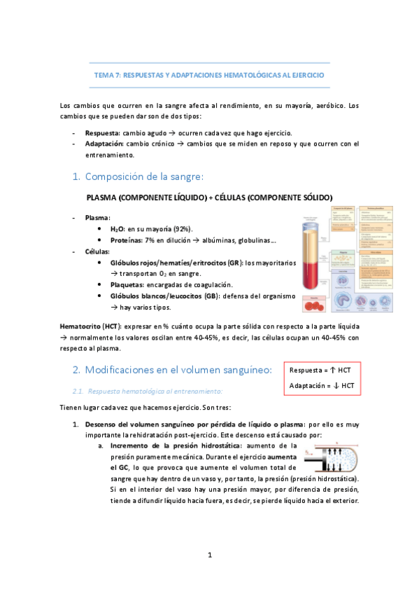 Miniatura del documento TEMA-7-RESPUESTAS-Y-ADAPTACIONES-HEMATOLOGICAS.pdf