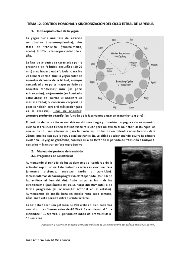 Miniatura del documento Tema-12.pdf