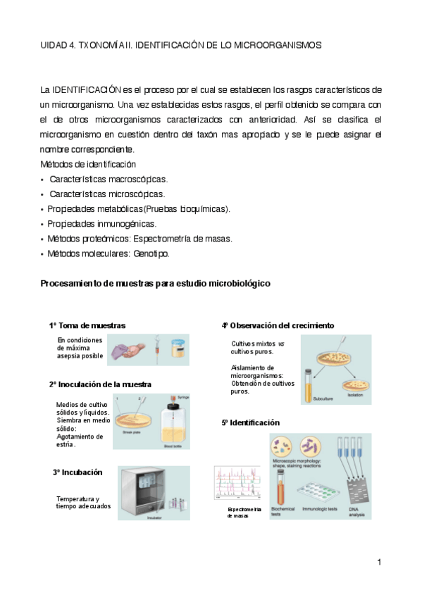Miniatura del documento UIDAD-4.pdf