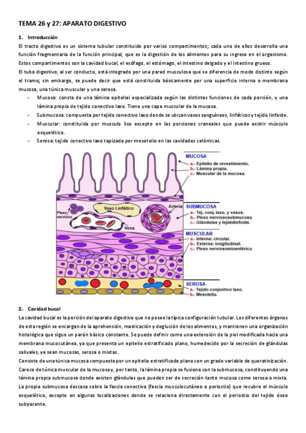 Miniatura del documento TEMA-26-y-27-APARATO-DIGESTIVO.pdf