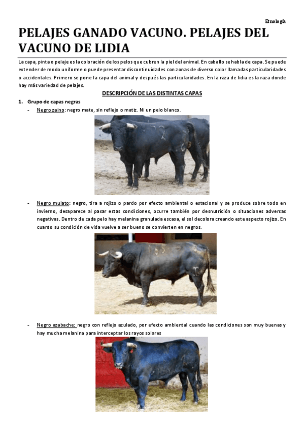 Miniatura del documento CAPAS-DE-GANADO-VACUNO.pdf