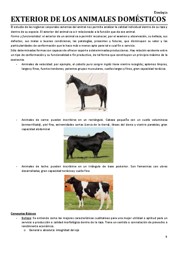 Miniatura del documento EXTERIOR-DE-LOS-ANIMALES-DOMESTICOS.pdf