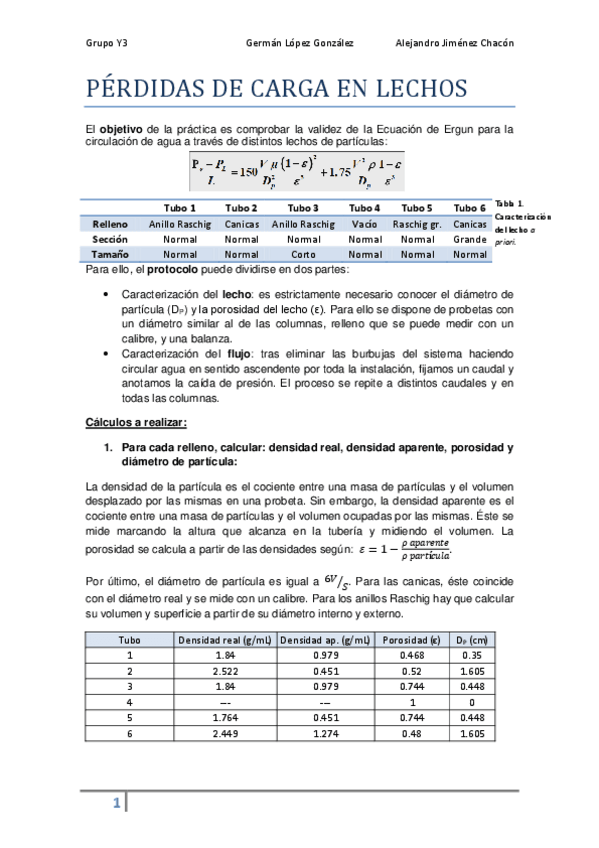 Miniatura del documento Pérdidas de carga en lecho-Y3.pdf