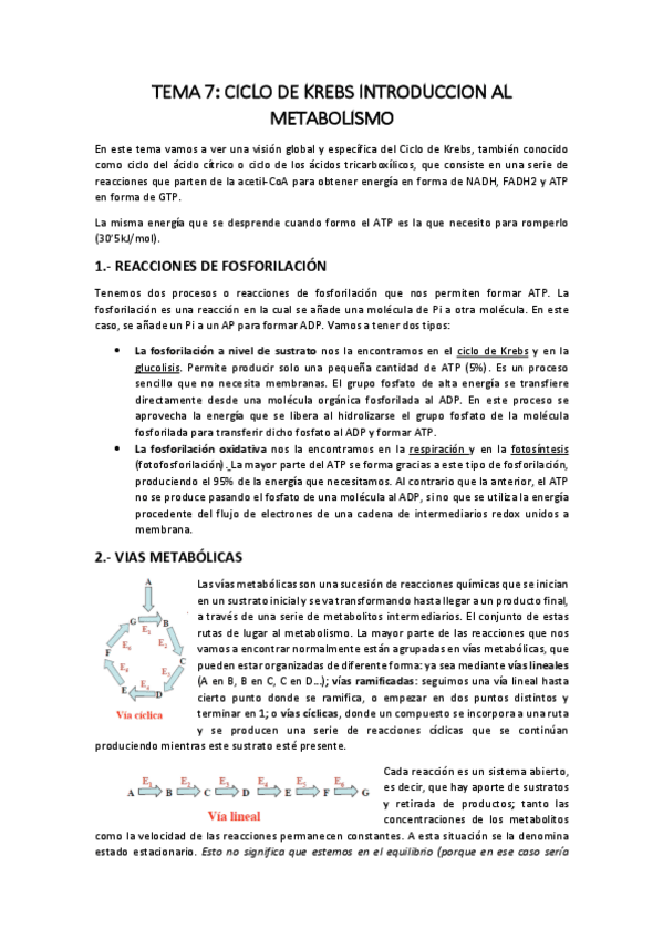 Miniatura del documento BIOQUIMICA-TEMA-7.pdf