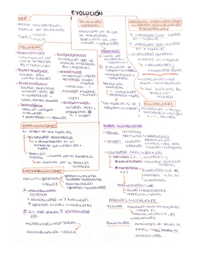 Miniatura del documento Evolucion-.pdf