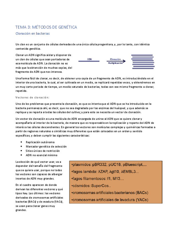 Miniatura del documento Tema-3.pdf