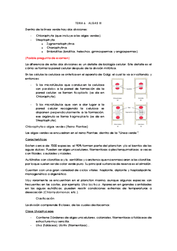 Miniatura del documento Tema-6.pdf