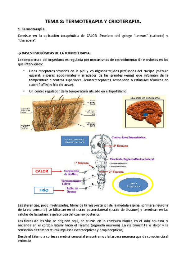 Miniatura del documento T8-PROCEDIMIENTOS-I.pdf