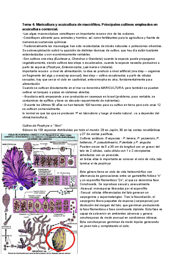 Miniatura del documento TEMA-4.pdf