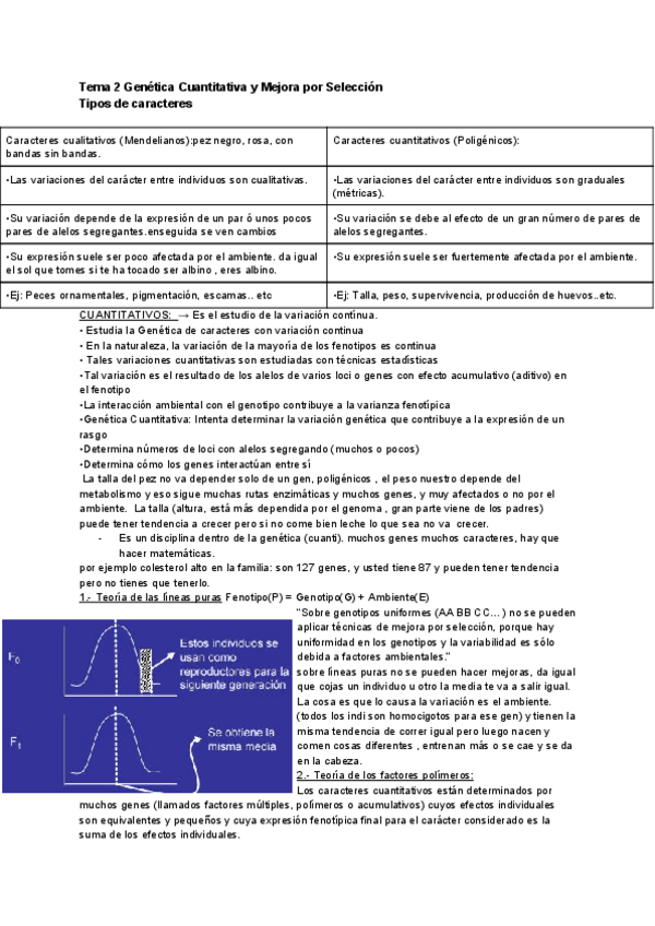 Miniatura del documento TEMA-2.pdf