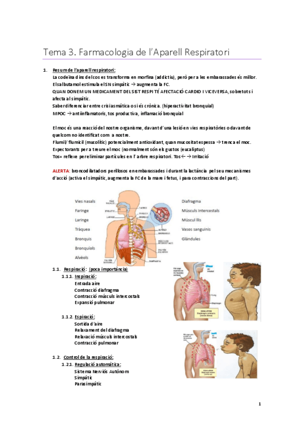 Miniatura del documento T3-Farmacologia-de-lAparell-Respiratori-Apunts.pdf