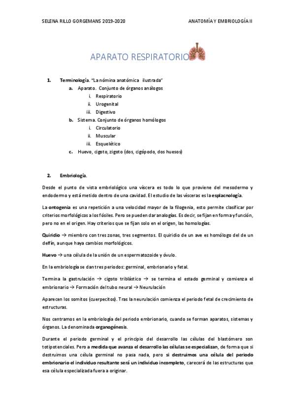 Miniatura del documento APARATO-RESPIRATORIO.pdf