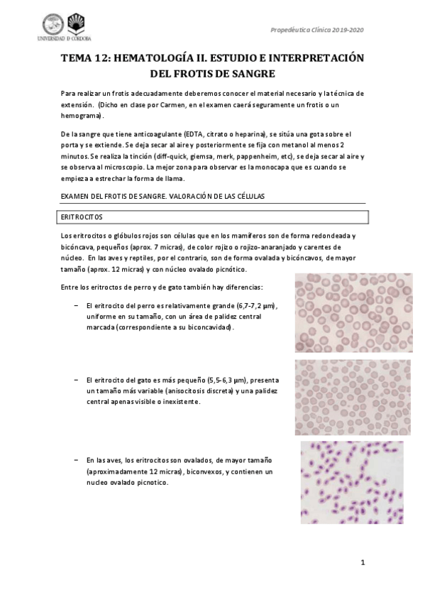 Miniatura del documento Tema-12-prope.pdf