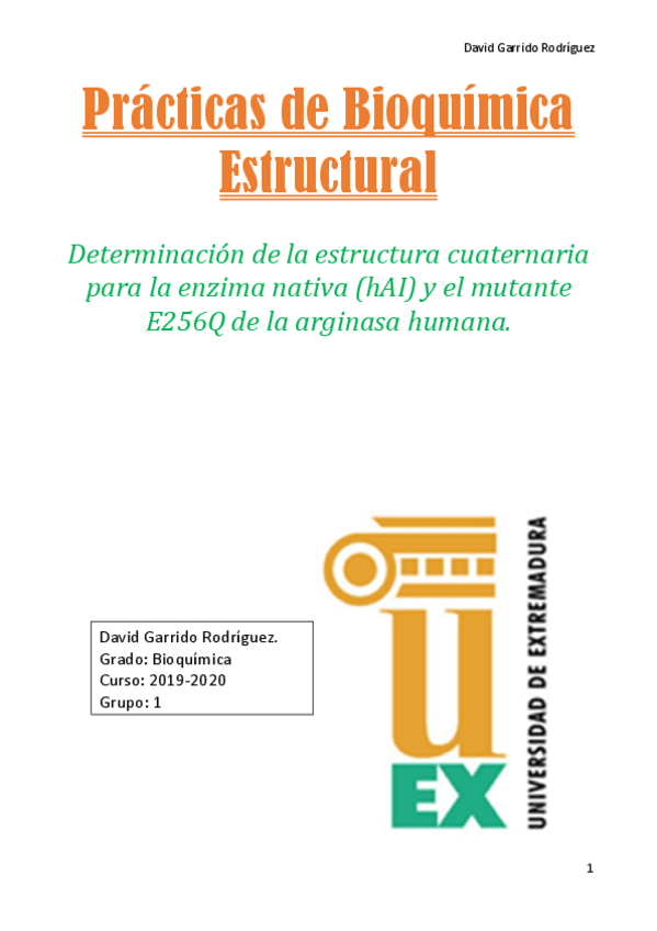 Miniatura del documento Informe-de-practicas-de-Bioquimica-Estructural.pdf