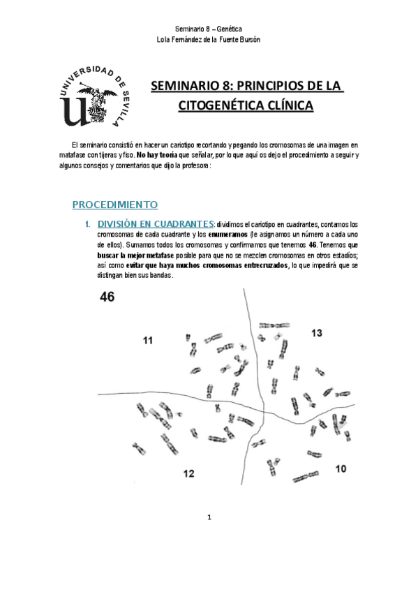 Miniatura del documento Seminario 8. PRINCIPIOS DE LA CITOGENÉTICA CLÍNICA. Genética. Lola.pdf