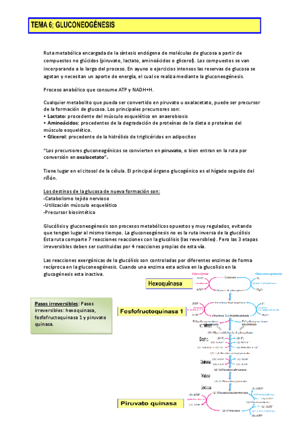 Miniatura del documento Tema-6.pdf