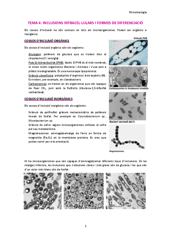 Miniatura del documento TEMA-4.pdf