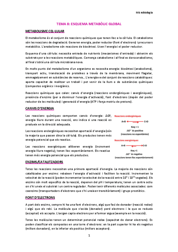 Miniatura del documento TEMA-8.pdf