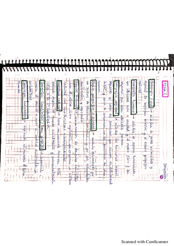 Miniatura del documento CONCEPTOS.pdf