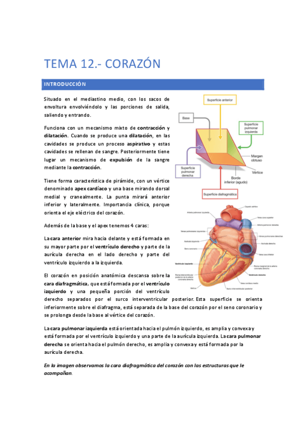Miniatura del documento TEMA-12.pdf