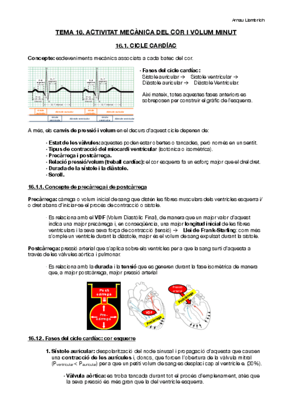 Miniatura del documento Apunts-Fisiologia-i-Fisiopatologia-II-Tema-16.pdf