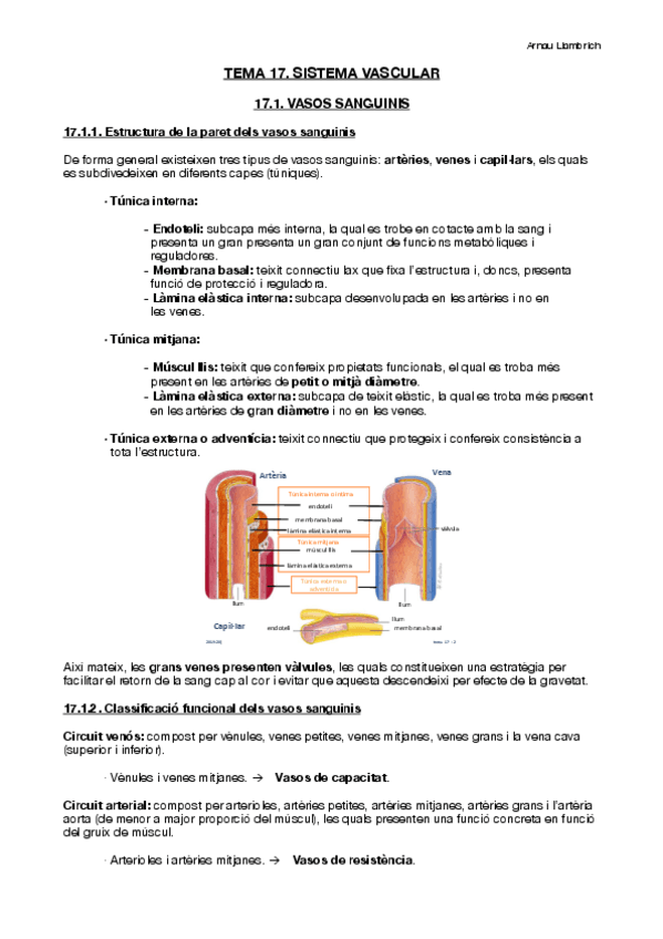Miniatura del documento Apunts-Fisiologia-i-Fisiopatologia-II-Tema-17.pdf