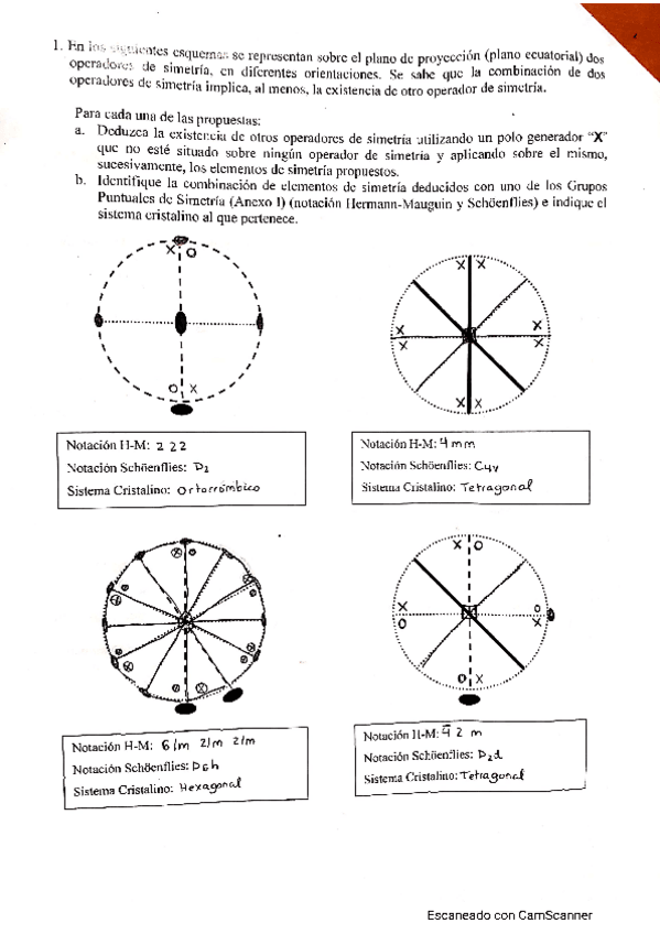 Miniatura del documento TRABAJO-DIRIGIDO-2.pdf