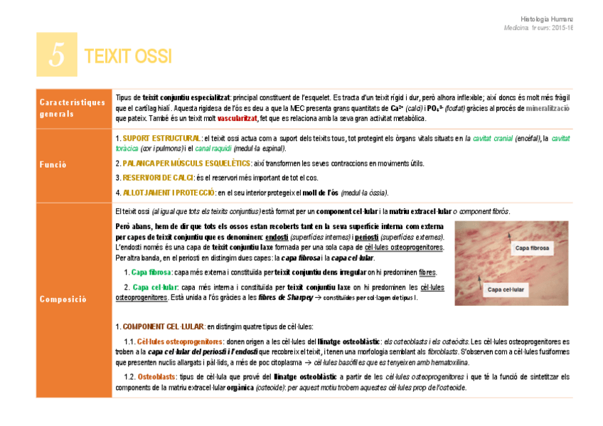 Miniatura del documento 5. Teixit ossi.pdf