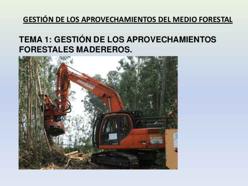 Miniatura del documento t1-aprovechamientos-maderables.pdf