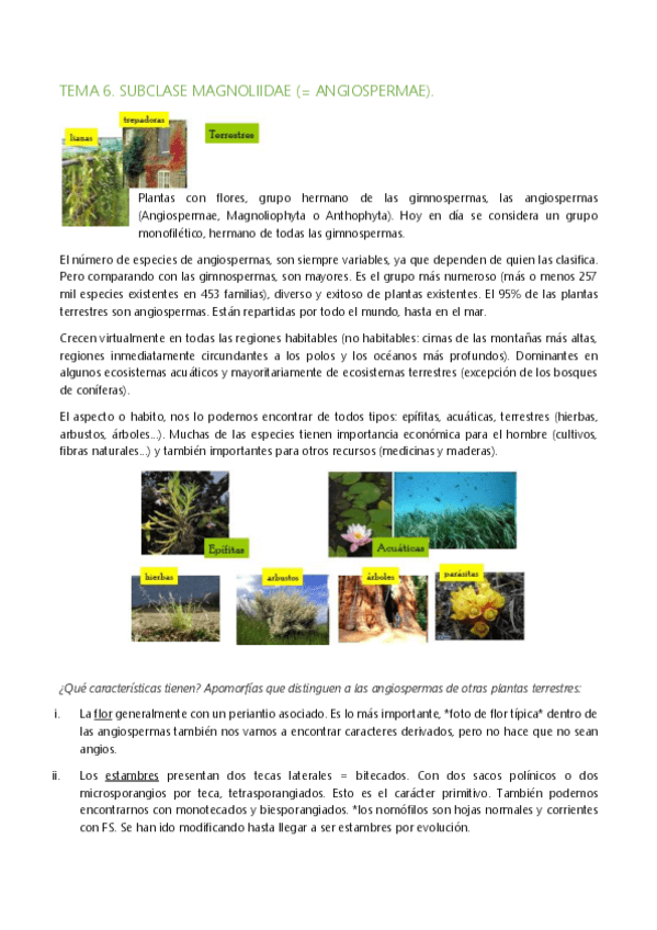 Miniatura del documento Tema-6-8.pdf