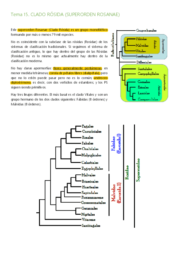Miniatura del documento Tema-15-17.pdf