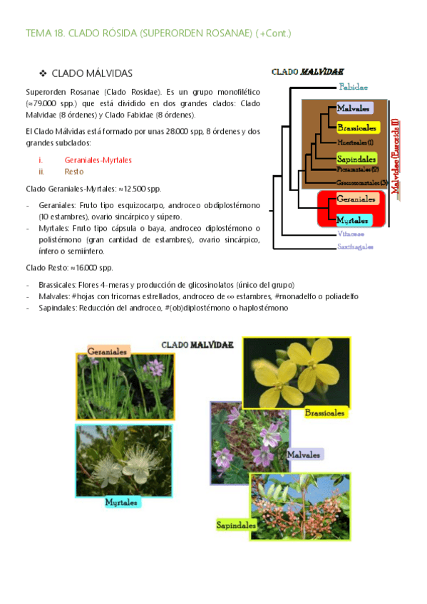 Miniatura del documento Tema-18-19.pdf