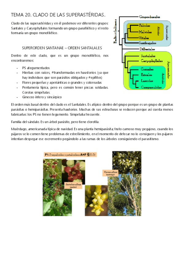 Miniatura del documento Tema-20-24.pdf